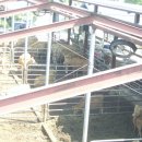 석청농장 이미지