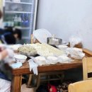 시골칼국수 | 양천구 신월동 옛시골손칼국수 솔직후기