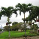 하와이의 카우와이섬 - 낙원으로 여러분을 초대합니다 이미지