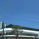 남해-234 | 쏠비치 남해 호텔 오픈 후기/ 펫프렌들리룸(애견동반) 후기 / 근처 여행 코스