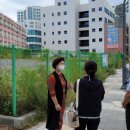 세류초등학교 이미지