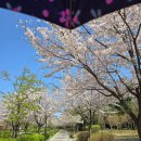 미사누리1호공원 이미지