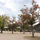 첨성대 화장실 이미지