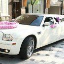 모든장식 이미지