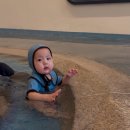 진우2목장 이미지