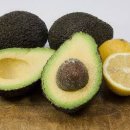 아보카도 이미지