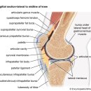 마디튼튼정형외과의원 이미지