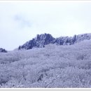 28산우회 신년 첫 산행 (무등산 국립공원) 이미지