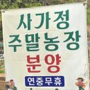 메카닉 디젤 | 기아 올 뉴 카니발 9인승 노블레스 중고차시세&amp;소비자 구입후기