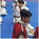 하랑태권도 이미지