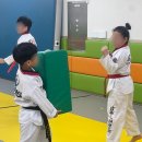 밝은i태권도장 이미지