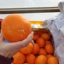 김순덕 농장 이미지