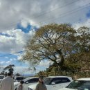 금오름농장 이미지