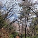 창원 구산성지 이미지