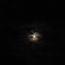 보름달 - 부산진구 동성로 61-1 | 보름달