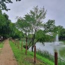 힐링관광지 주차장 이미지