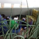 공룡박물관야외화장실 이미지