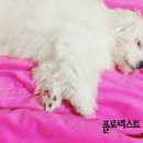 트리밍101 이미지