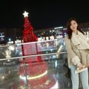 디케이앤와이롯데파주 | 파주롯데프리미엄아울렛 방문 후기 ^^