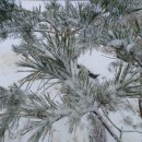 곰배령펜션 휴림 이미지