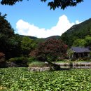 진도 운림산방 이미지