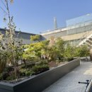 다나움요양병원 이미지