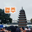시민운동장 | 🏃‍♂️ 2026 경주국제마라톤 일정 및 접수 안내! 나의 첫 마라톤 2025년 10km 참가 찐후기 🏅