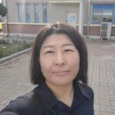 군산문창초등학교 이미지