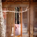 쿠키보리(COOKIE BORI) | 보리의 봄. 3월 4일부터 15일까지 북촌 아트선재센터 한옥에서 슈퍼보리를 만나보세요. [슈퍼말차]