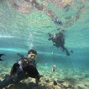 동굴로 | 오키나와 스노쿨링 / 푸른동굴 스킨스쿠버 / 나하 호핑투어 후기