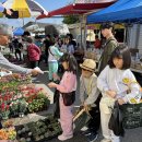 점곡초등학교 이미지