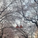 월출성여관 이미지