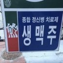 보홀 여행 04 나팔링셀프투어 빠우 두말루안비치 BBC레스토랑 아고타타 몽키트리 대장금 불쇼 과일가게...