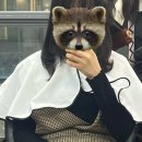 에이바헤어 봉화산역점 | 신내동미용실 에이바헤어 봉화산역점에서 중단발 레이어드컷한 후기