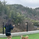 놀아펜션민박