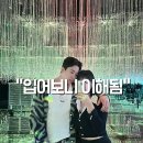 비바스튜디오 모헤어 가디건 후기, 착용감부터 털빠짐·관리까지 솔직하게