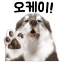 부산여대차박물관 이미지