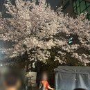 1258 | 수원 권선동 2차 하기 좋은 사계절 냉면 맛집 밀알 칡냉면 내돈 내산 후기