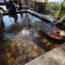 용궁목욕탕 이미지