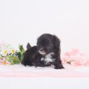 키즈멍 안양본점 이미지