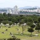 뚝섬한강공원-21 이미지