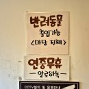 지에스25 증평중앙로점 | [카페일기] 대전 중앙로역 선화동 한옥카페 알로하녹