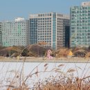 십 이 월 열 엿새 날 운세 이미지