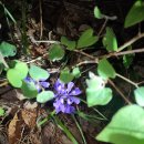 푸른 홈 태양광발전소 | 2026-04-19 호남정맥21-6구간(감상굴재-천치재)(롤링스톤님 공지)