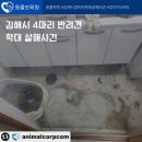 동물보육원 김해지부 이미지