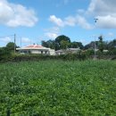 옥희농장 이미지