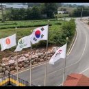TY팩토리 이미지