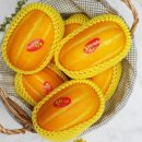 남은농장 이미지