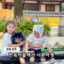 11545-03-25-30 | 전주 한옥마을 아이·반려견 동반 여행, 폭염 속 전동카·친수쉼터로 버틴 6시간 30분 후기