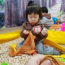 호계운동장 이미지